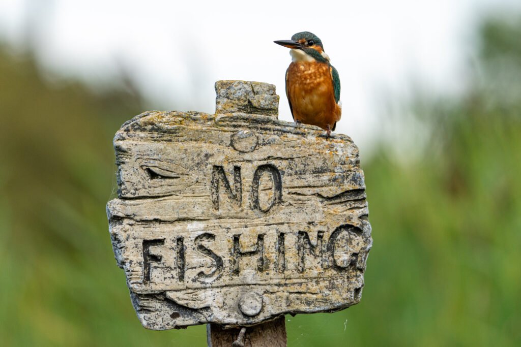 No Fishing!